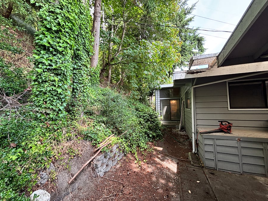 Back of house, with forest, racoons and deer come through often. 