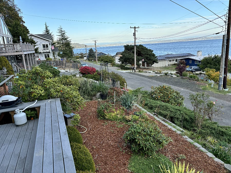 View north from deck.  180 degrees.