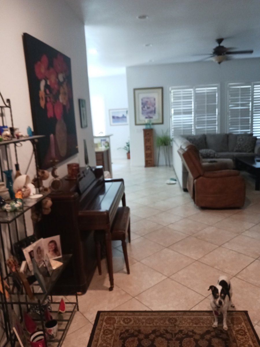 Furnished Finder property 1017143_1 photo 7