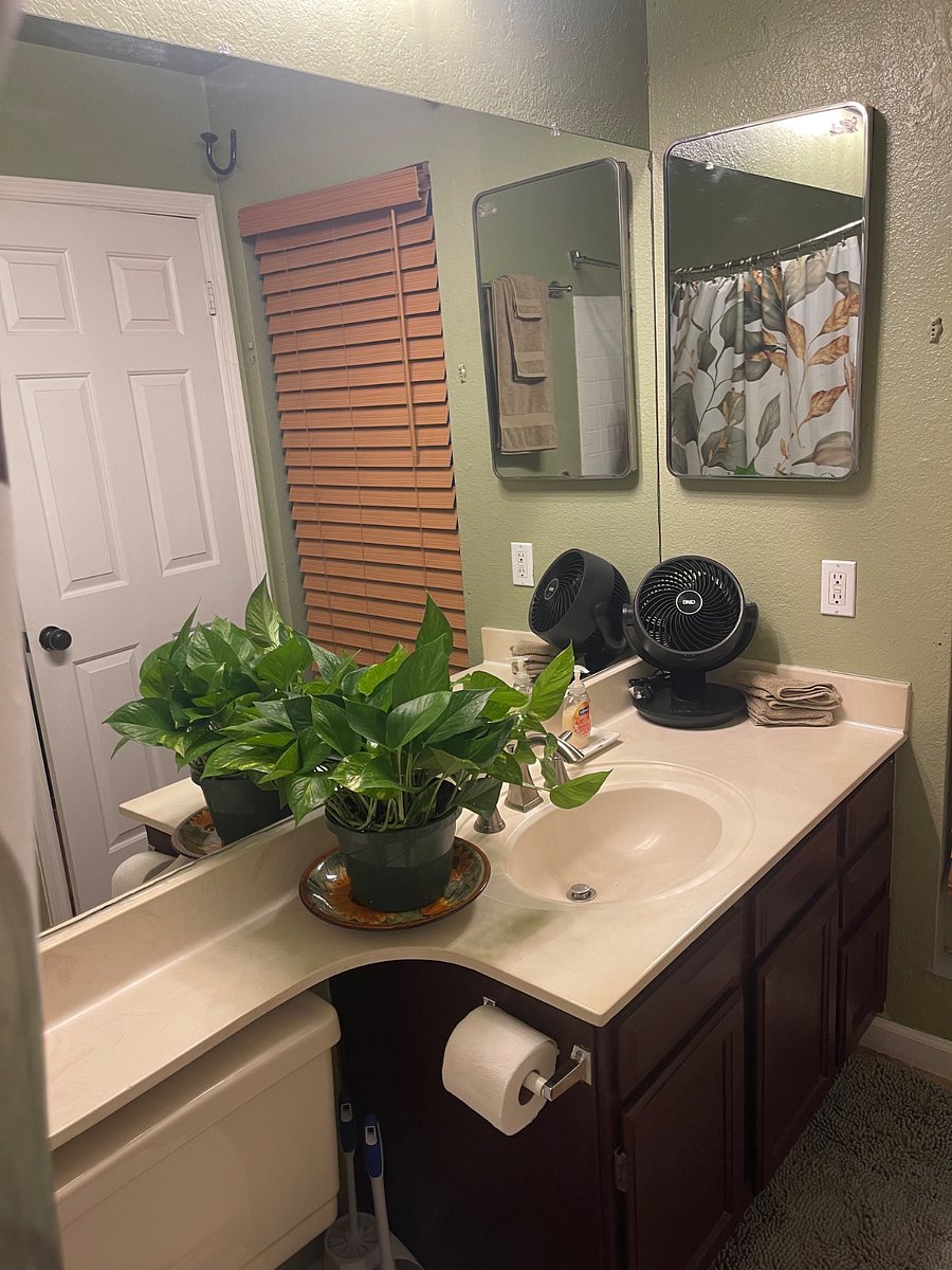 Furnished Finder property 1017170_1 photo 16
