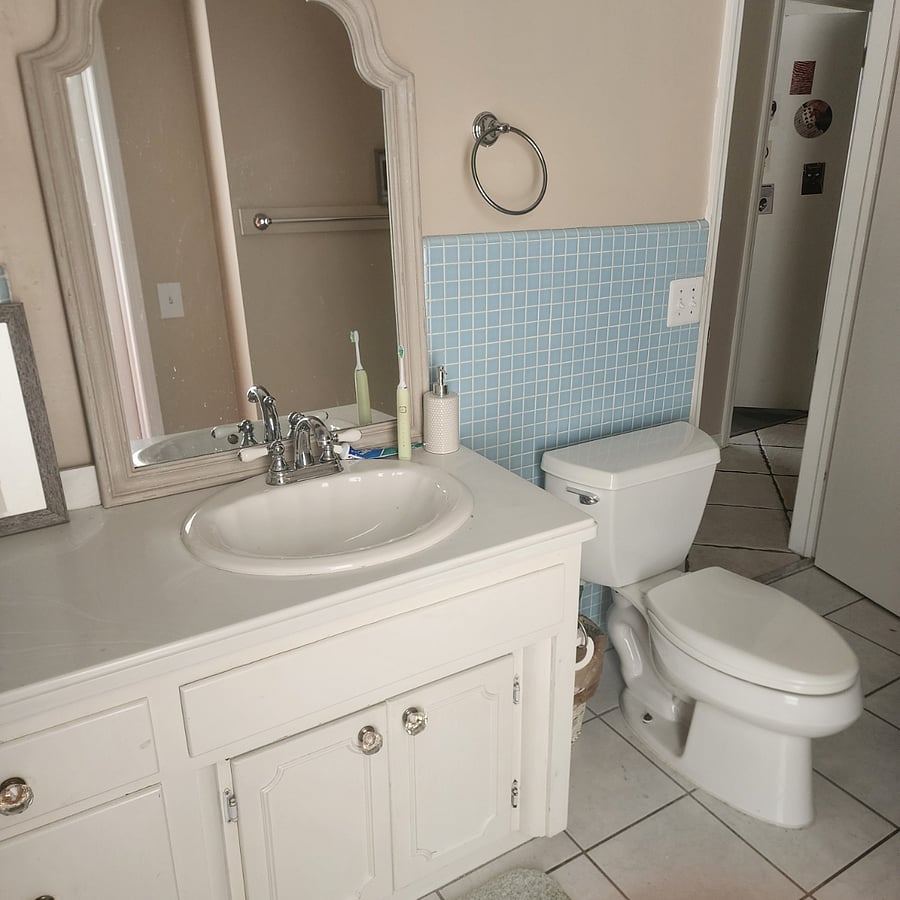 bathroom vanity & toilet,
your own dedicated drawer on left side of vanity