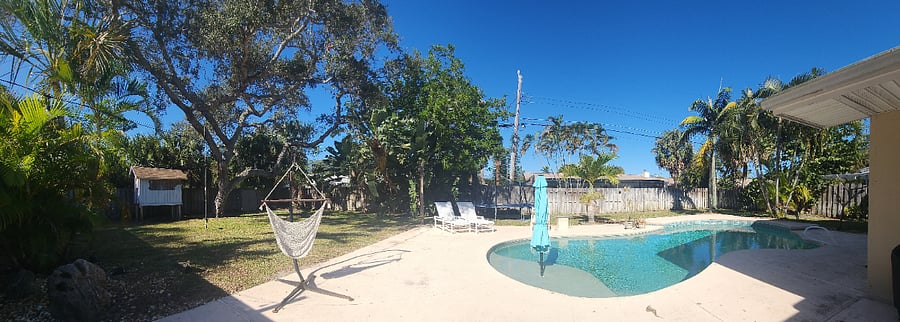 pool & back yard area with lovely big oak tree