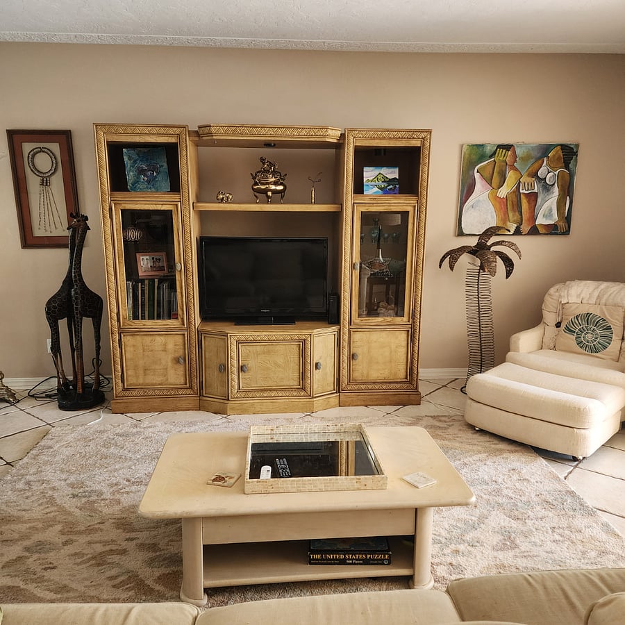 living room tv