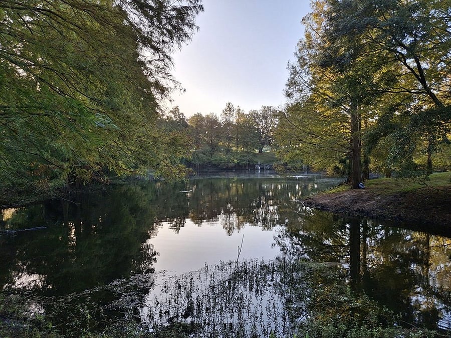 Greenwood Urban Wetlands Park
