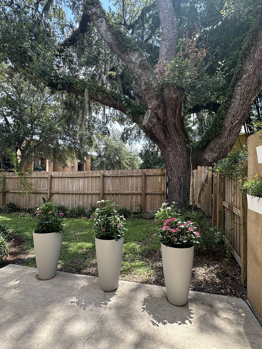 Private fenced backyard