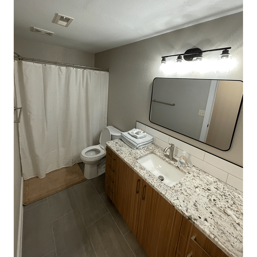 Downstairs (private) bathroom