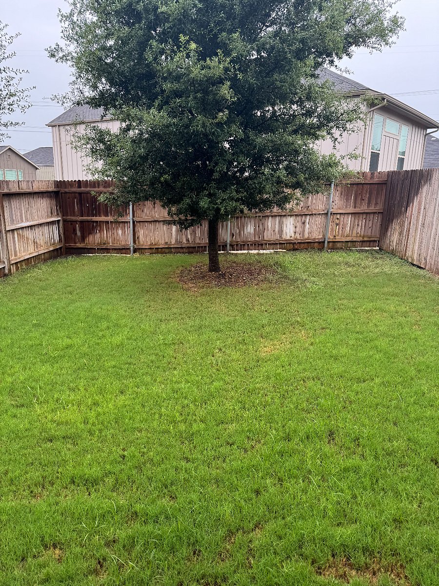Furnished Finder property 1017433_1 photo 11