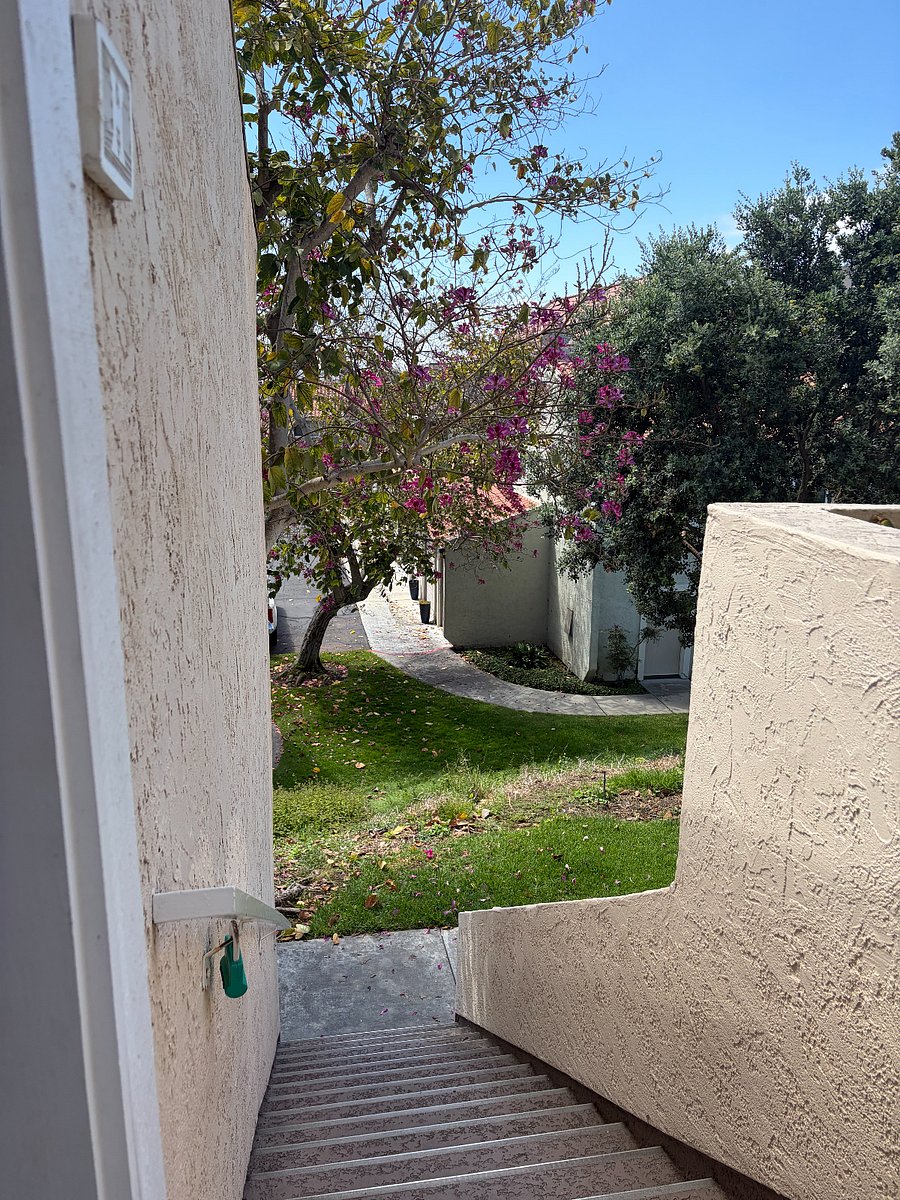 Furnished Finder property 1017458_1 photo 31