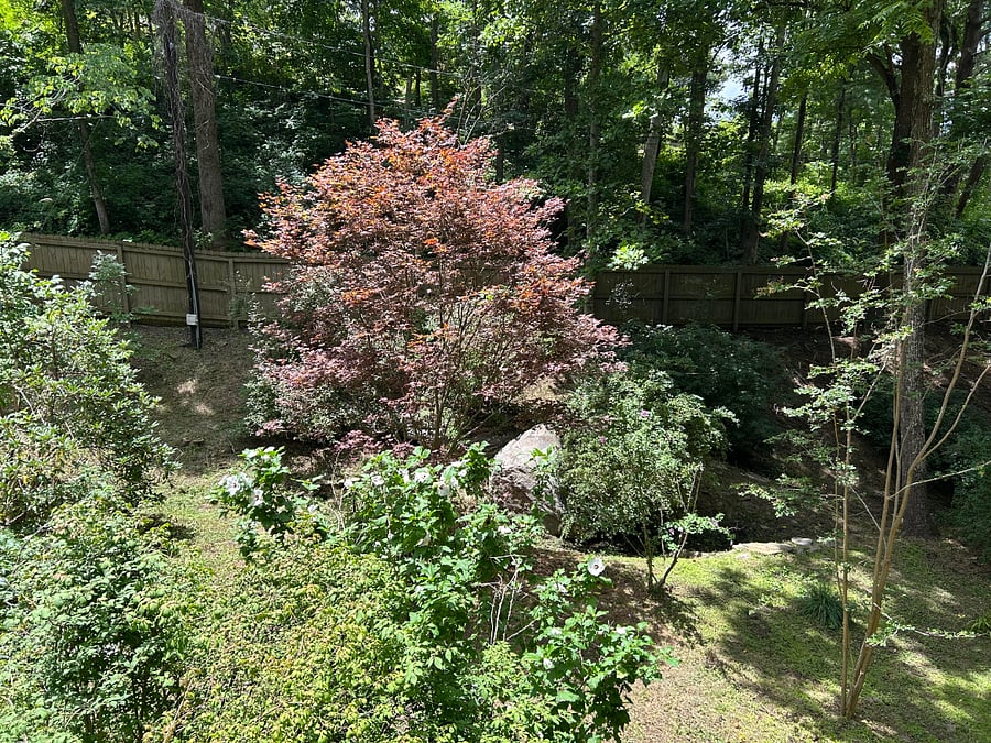 Furnished Finder property 1017494_1 photo 25