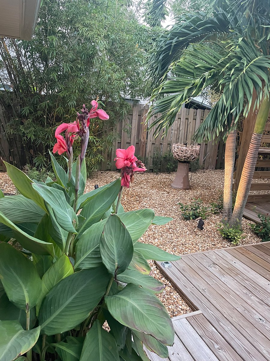 Furnished Finder property 1017517_1 photo 62