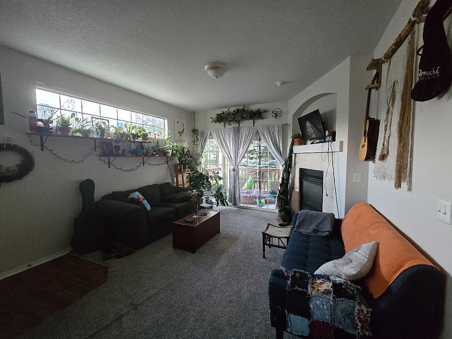Shared Living Room