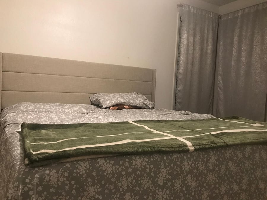 Furnished Finder property 1017601_1 photo 5