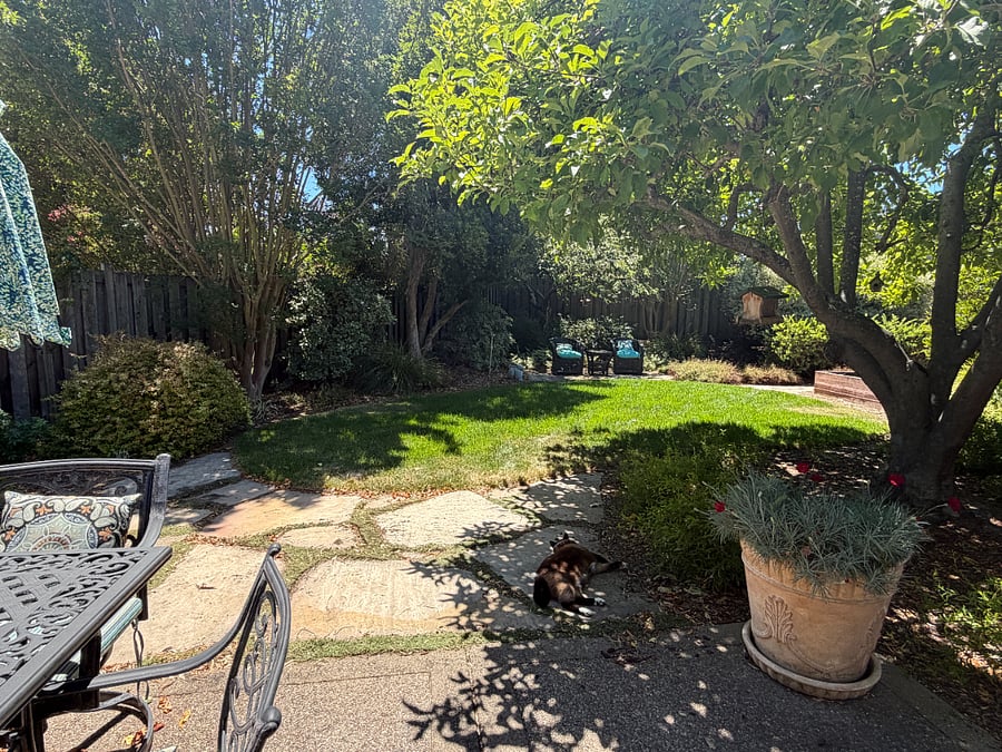 additional backyard sitting area and grass.