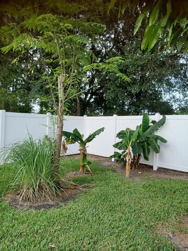 Furnished Finder property 1017629_2 photo 17
