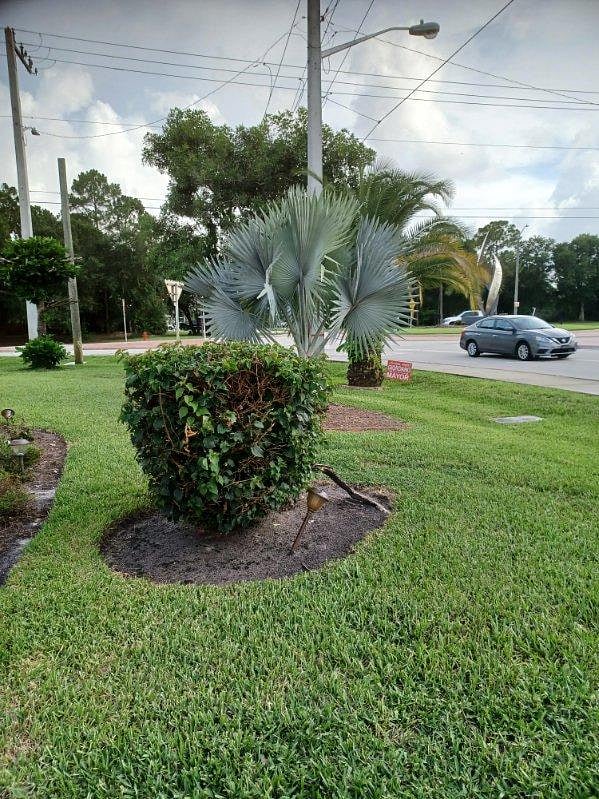 Furnished Finder property 1017629_2 photo 24