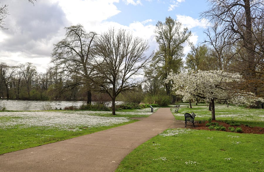 Island Park and Willamette River access, within walking distance