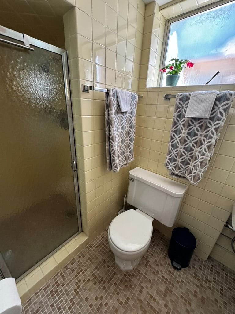 Shower/toilet