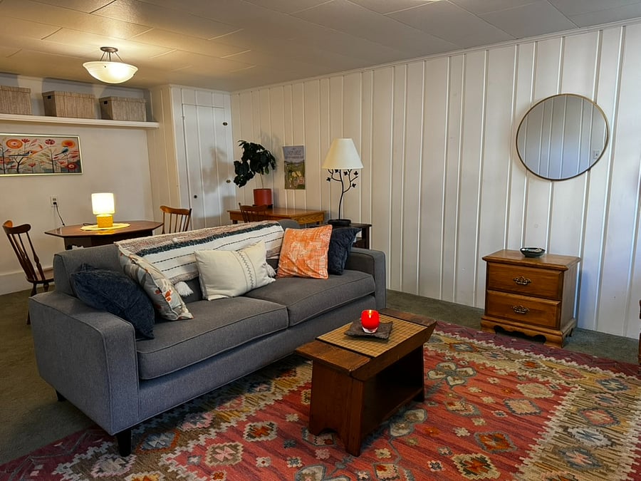 Couch in the living room and the dining behind