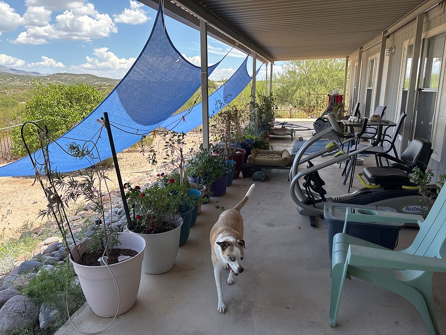 Furnished Finder property 1017723_1 photo 10