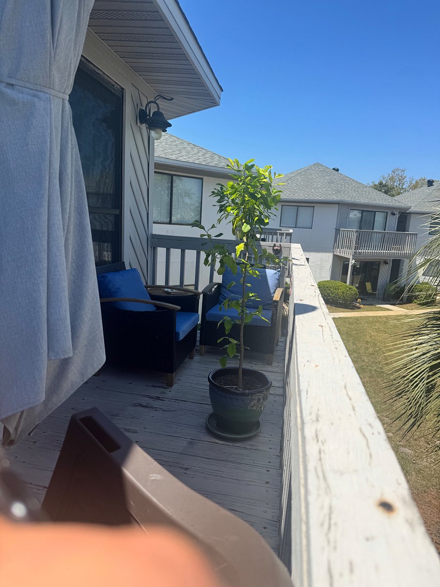 Furnished Finder property 1017821_1 photo 11