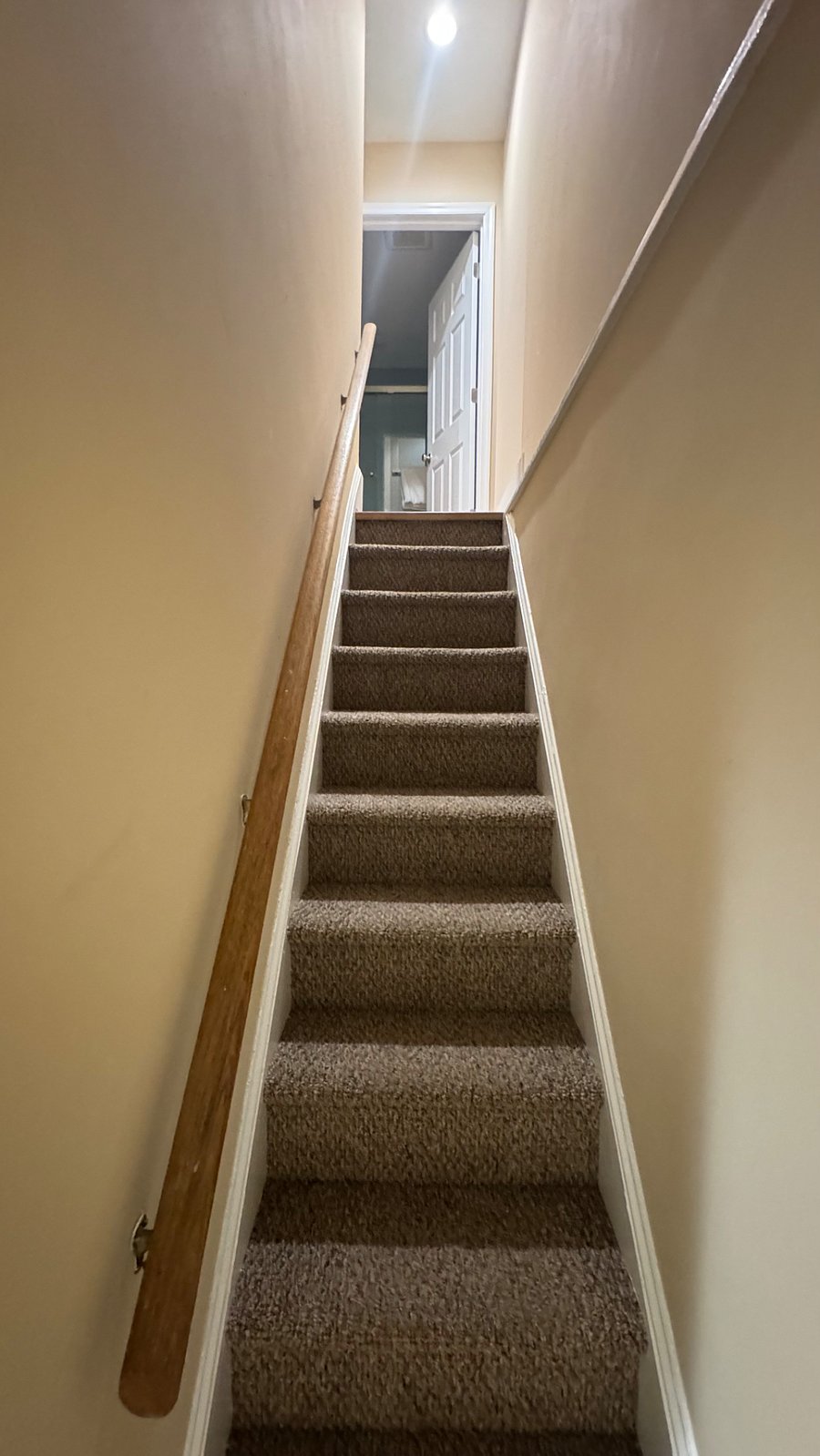 Furnished Finder property 1017849_1 photo 16