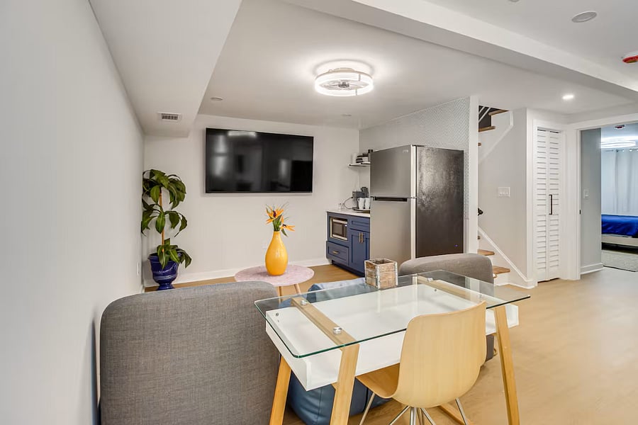 Basement Living Room