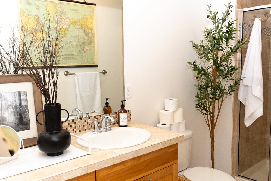Furnished Finder property 1017888_1 photo 15