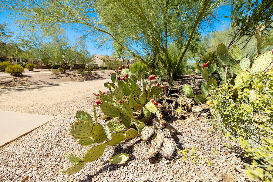 Furnished Finder property 1017919_1 photo 26