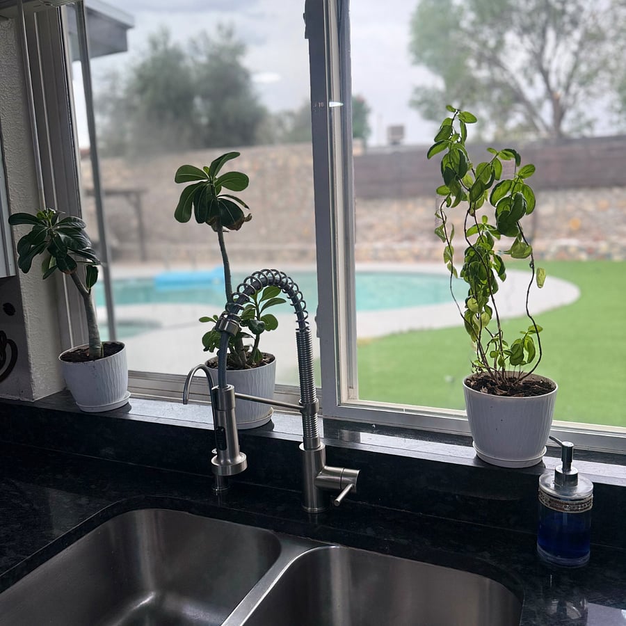 Pool view from the kitchen 