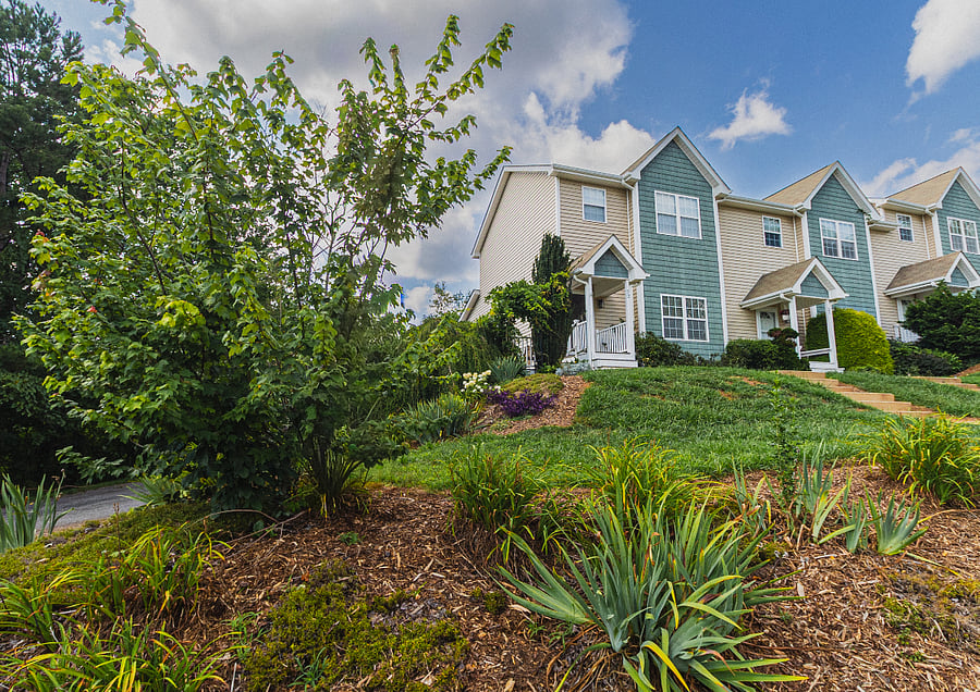 Furnished Finder property 1018071_1 photo 21