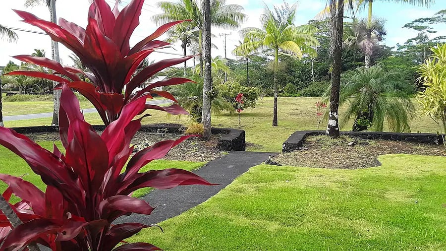 Furnished Finder property 1018083_1 photo 5