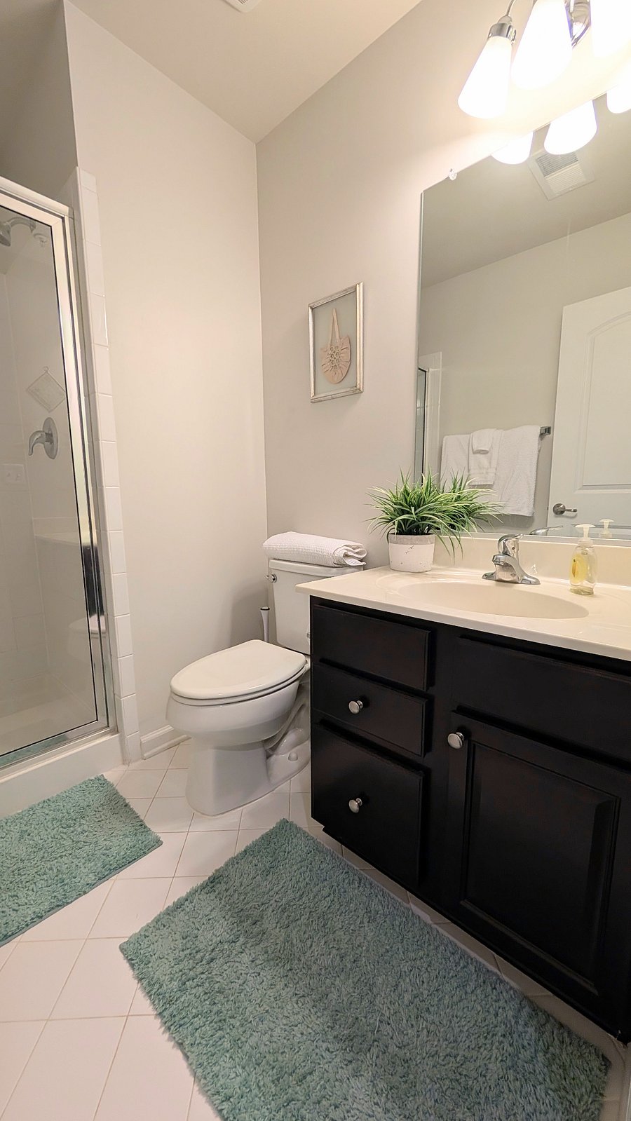 Furnished Finder property 1018099_1 photo 5