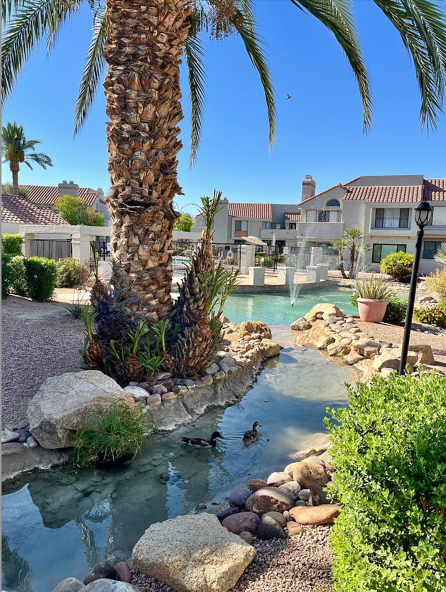 Furnished Finder property 1018106_1 photo 11