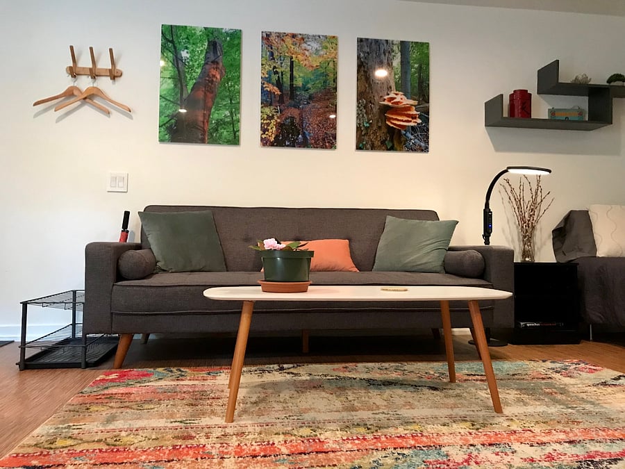 Full-size futon couch