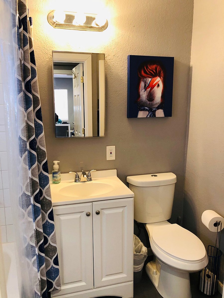 Furnished Finder property 1018211_1 photo 22