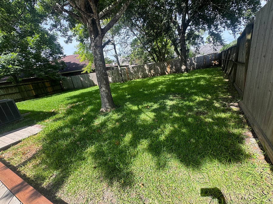 Furnished Finder property 1018250_1 photo 13