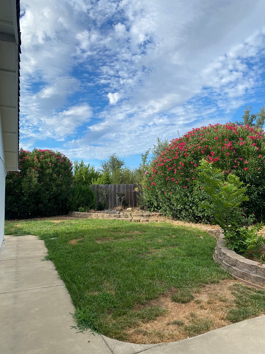 Furnished Finder property 1018296_2 photo 16