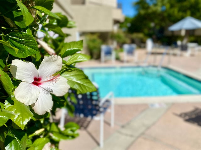 Furnished Finder property 1018352_1 photo 44