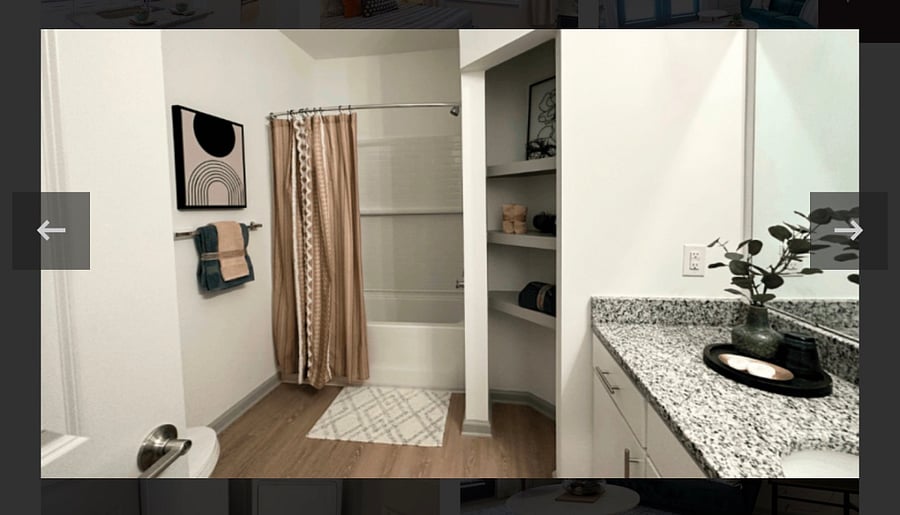 Furnished Finder property 1018361_1 photo 12