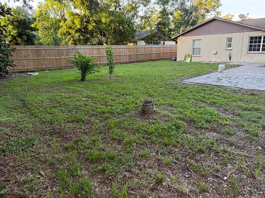 Furnished Finder property 1018475_1 photo 22