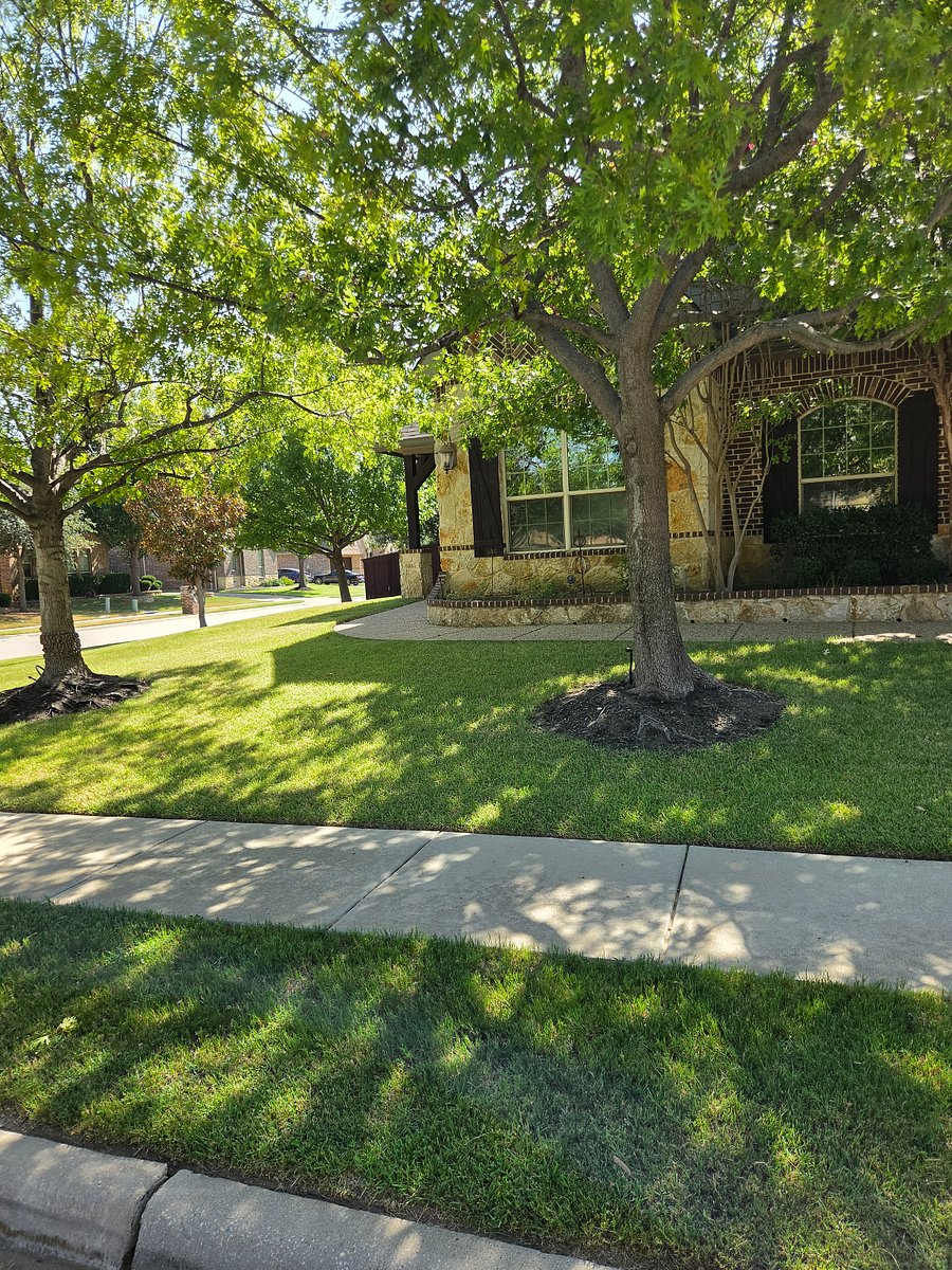 Front View of the Home