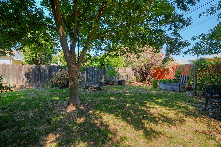 backyard
