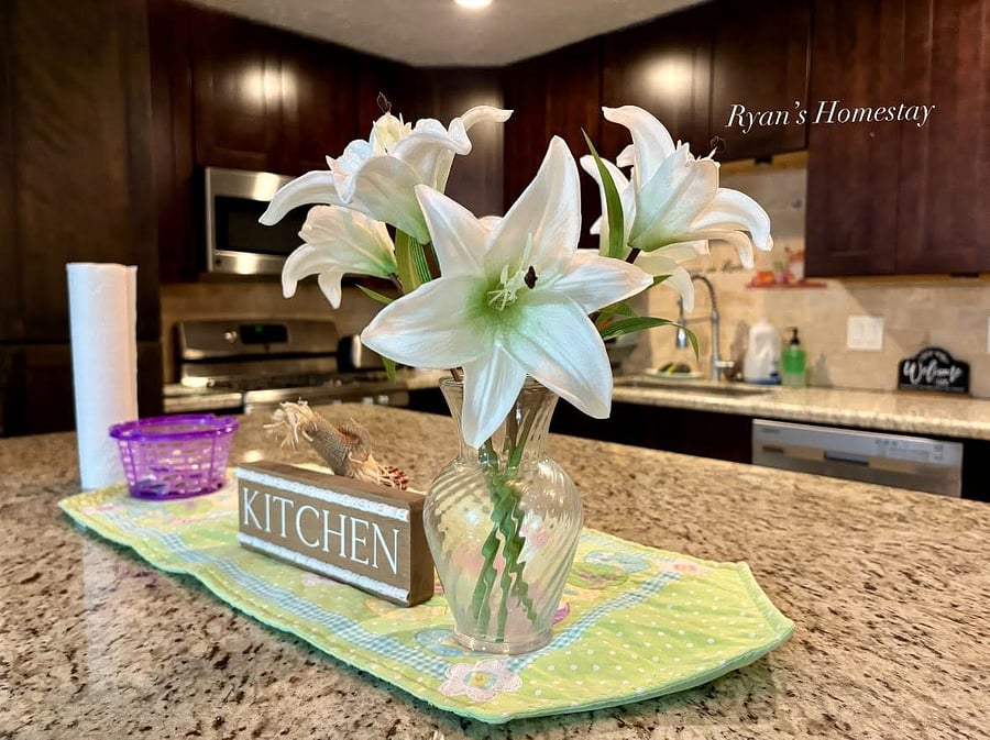 Furnished Finder property 1018683_1 photo 3