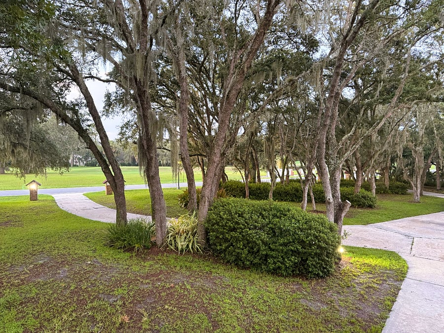 Furnished Finder property 1018684_1 photo 19