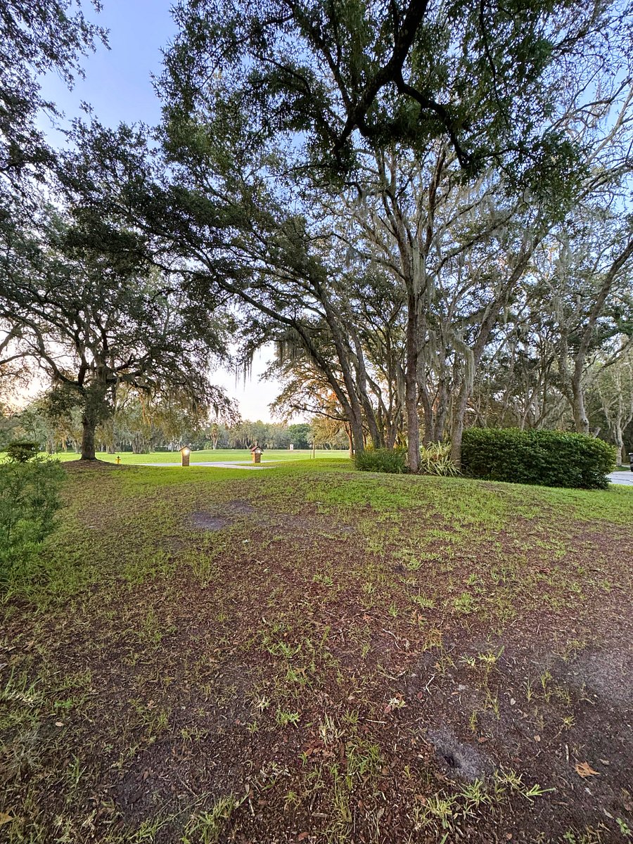 Furnished Finder property 1018684_1 photo 20