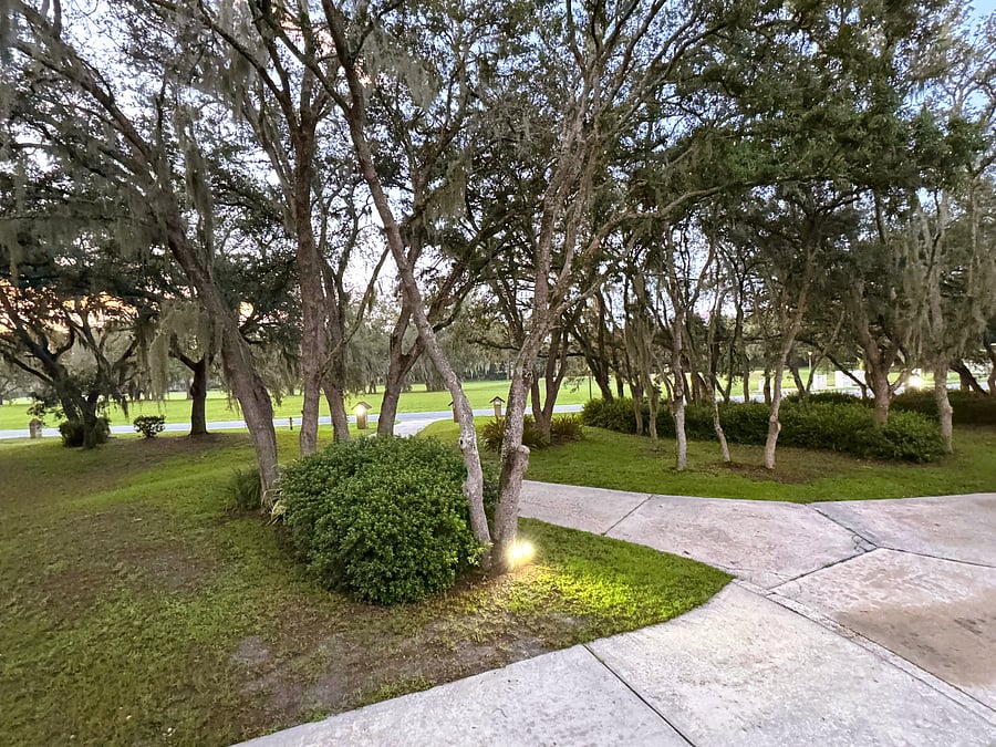 Furnished Finder property 1018684_1 photo 25