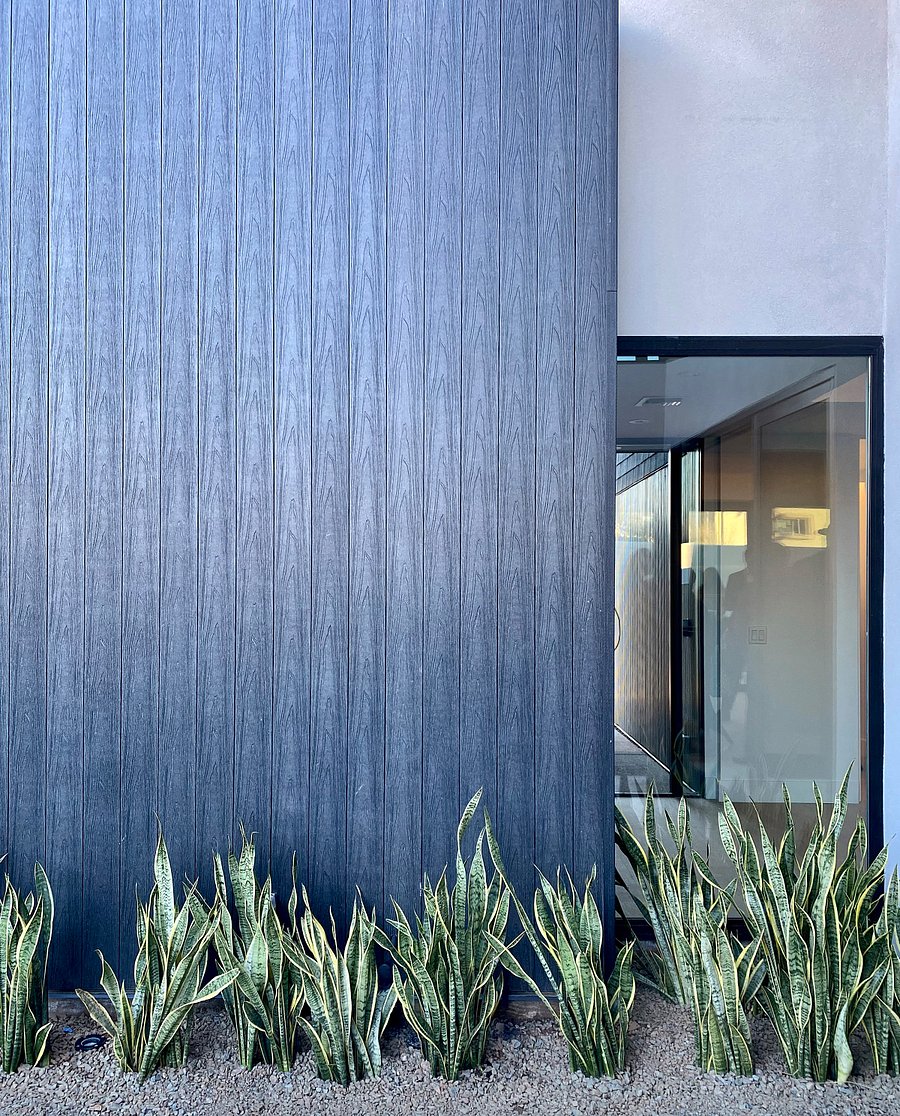 Architectural Detail / Courtyard Landscape: Layered modern materials, filtered light, and drought-tolerant planting reinforce the homes calm, low-maintenance lock-and-leave lifestyle.