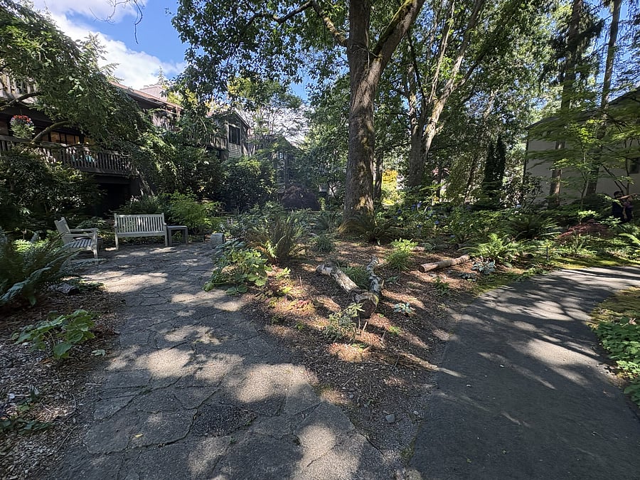 One of the community's favorite gathering places, The Grove offers benches nestled among mature trees and beautifully landscaped gardens. It's a peaceful place to relax and enjoy the outdoors.