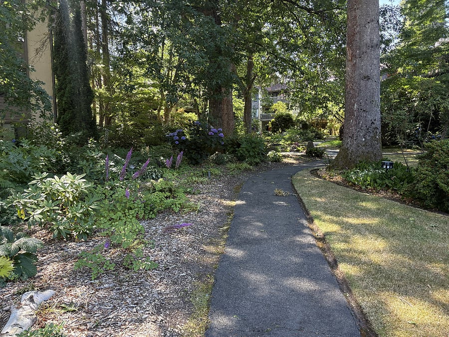 Every season brings something new to discover in The Grove, from colorful blooms to the shade of towering trees. It's a beautiful place to slow down and enjoy nature.