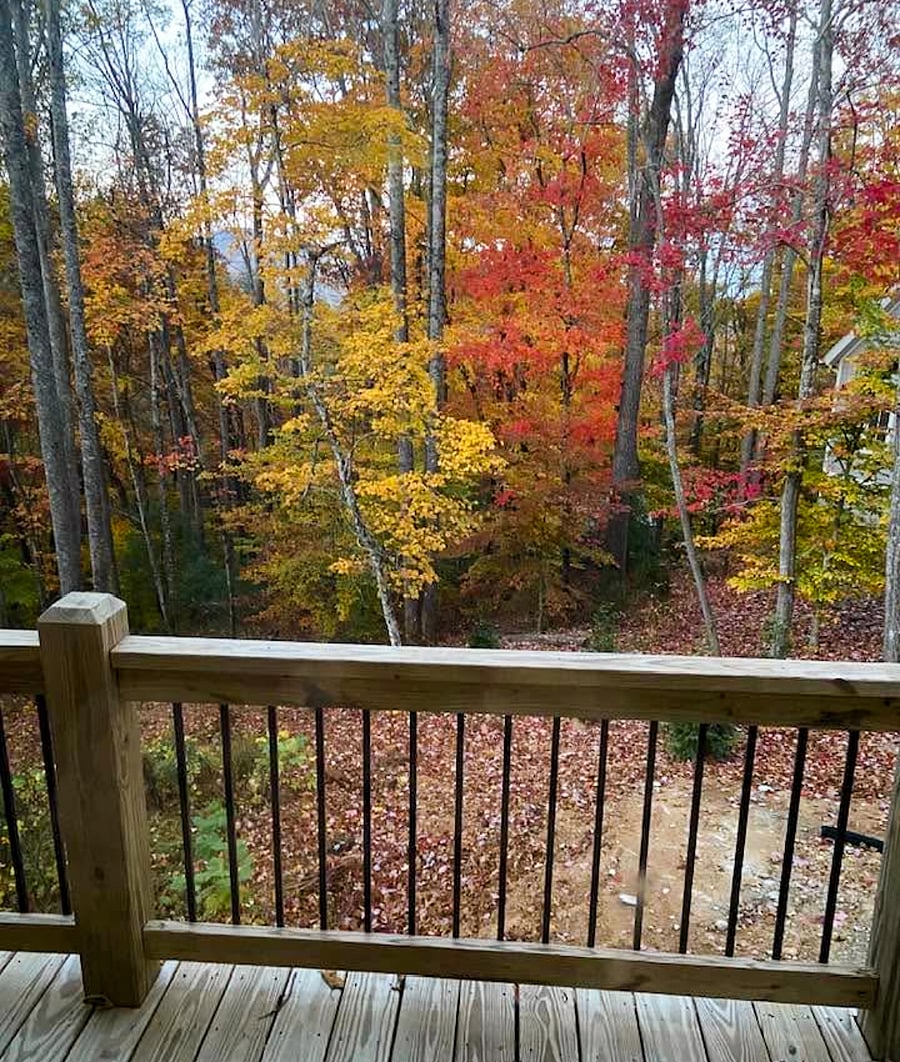 Fall Season - Back Deck View